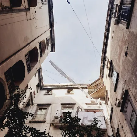 Meli-3